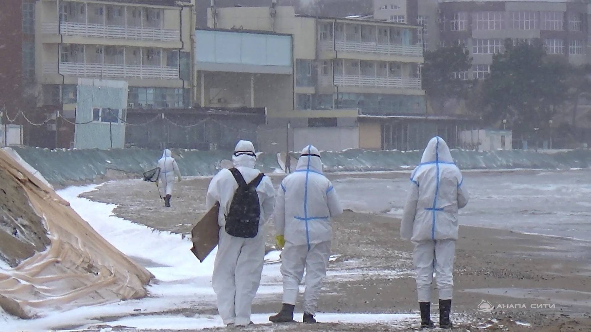 Анапа 24 февраля - Состояние пляжа и обстановка на море смотреть онлайн