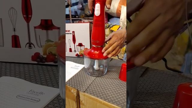 FACELLE 4 IN 1 HAND BLENDER смотреть онлайн