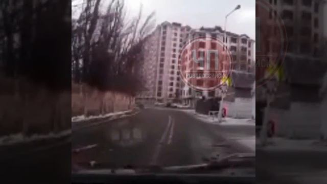 Дерево рухнуло на проезжую часть смотреть онлайн