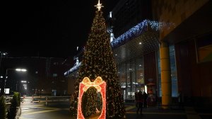 Новогодние ели для МТРК “Сити Молл”, г. Белгород
