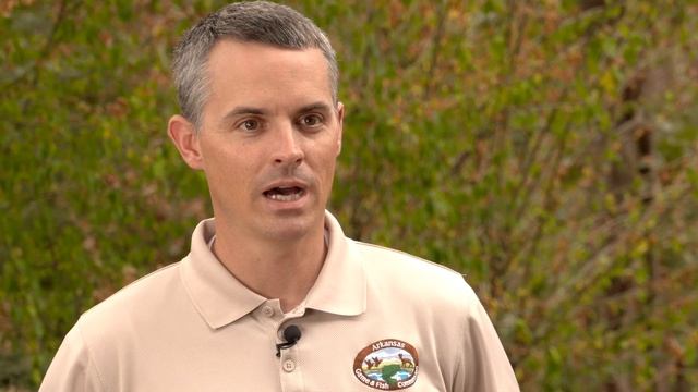 Canada Goose Round-up