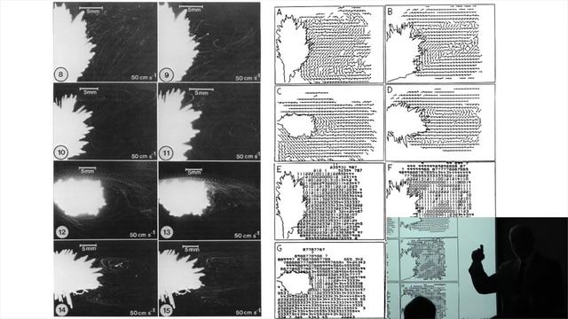 Karl Niklas: Forty-five Years of Modeling Plant Evolution смотреть онлайн