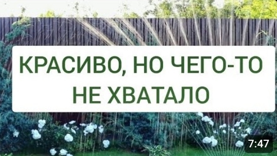 КРАСИВО, НО ЧЕГО-ТО НЕ ХВАТАЛО...25.08.2024г. смотреть онлайн