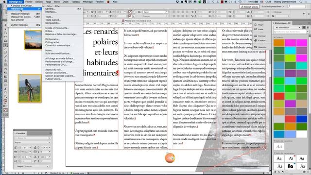 ID - formation longue ID 2017 COURS 04 - tuto Adobe InDesign de niveau professionnel sans compromis смотреть онлайн