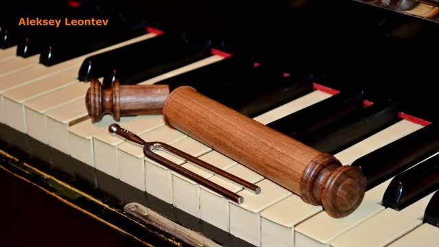 Футляр для камертона. Токарная обработка / Wooden Case For Tuning Fork. Woodturning.