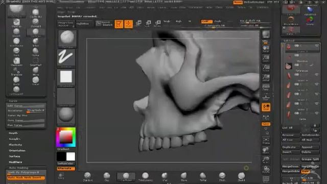 Sculpting a Skull in ZBrush, Overview Part 4/7 смотреть онлайн
