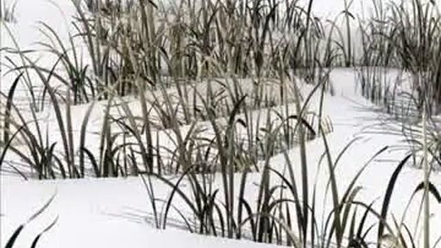 3D Model Grass 04 Review смотреть онлайн