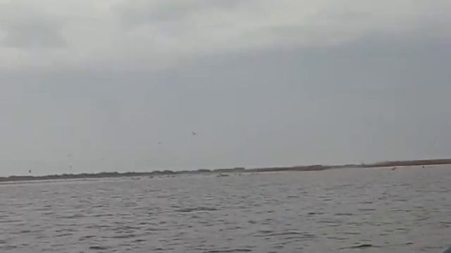 2009.04.27 - 2009.05.02 Рыбалка на раскатах