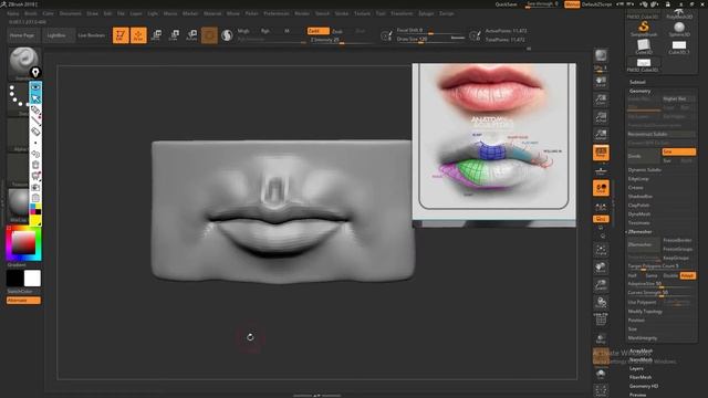 #anatomy #facialfeatures #lips How to sculpt lips in zbrush? With anatomy step by step. смотреть онлайн