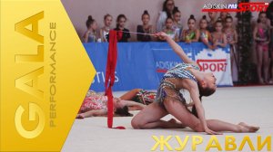 GALA ЖУРАВЛИ (4К)