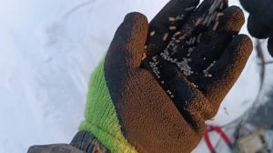 ХОЛОДИЛЬНИК БИРЮСА-3 В ЦВЕТМЕТ, ПОЛНЫЙ РАЗБОР ХОЛОДИЛЬНИКА БИРЮСА-3 В ЦВЕТМЕТ,РАЗБОР ХЛАМА В ЦВЕТМЕТ