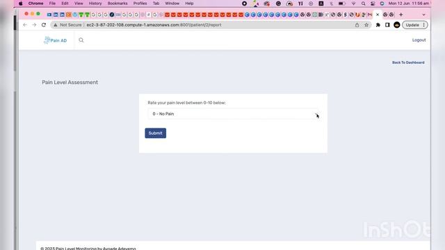 Pain AD webapp tutorial - Patient interface смотреть онлайн