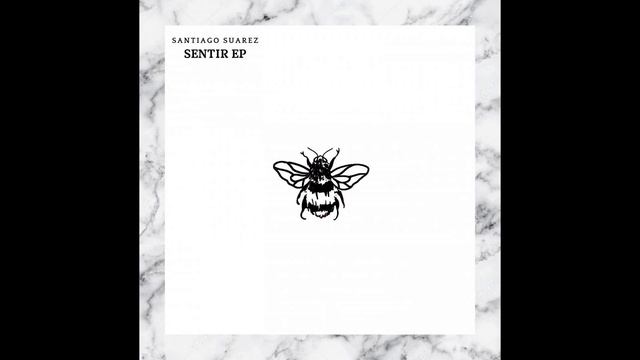 Santiago Suarez  - Night Of Stars (Original Mix) [NOT SO SERIOUS DEEP]