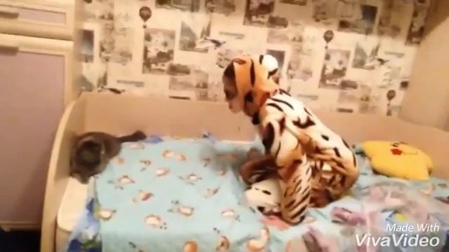 Если бы кошка была человеком 🐱