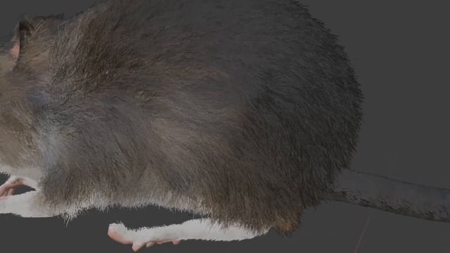Collector Mouse. 2021. Blender mouse groom. смотреть онлайн