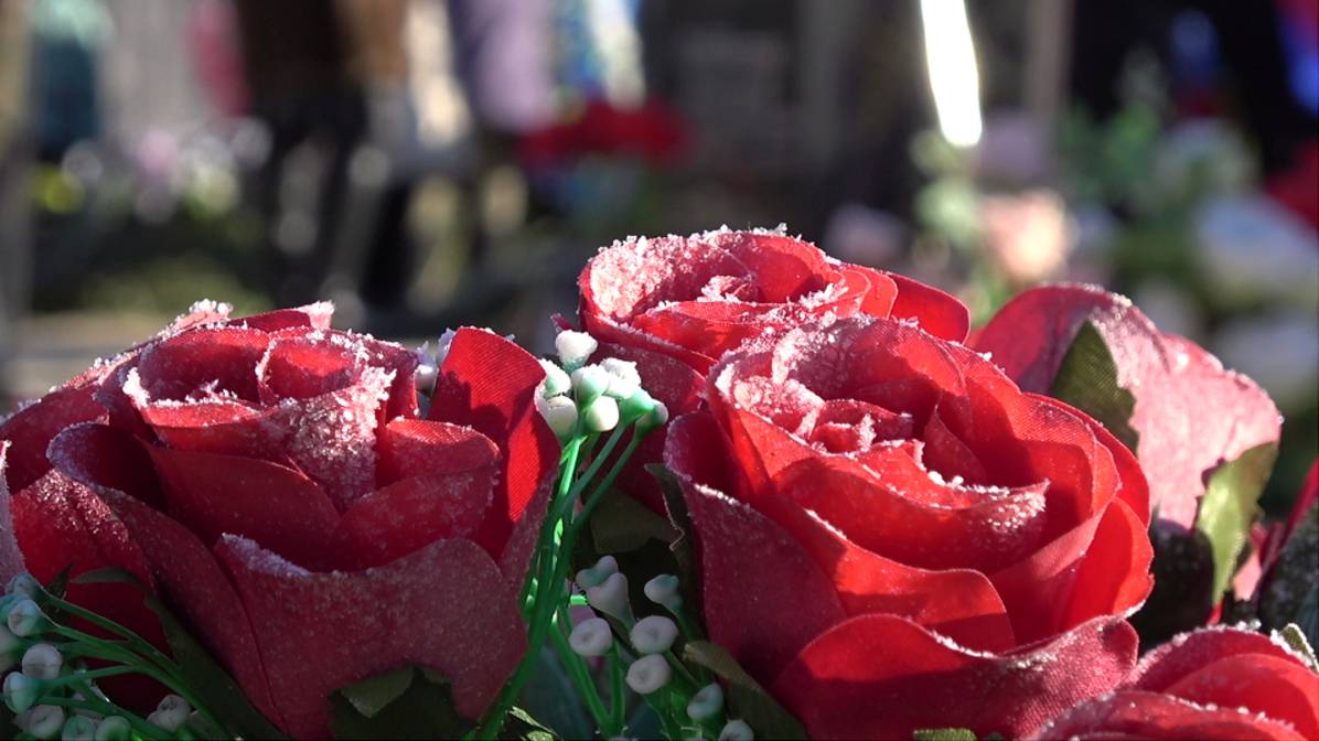 В Тучково возложили цветы в память о погибших на специальной военной операции смотреть онлайн