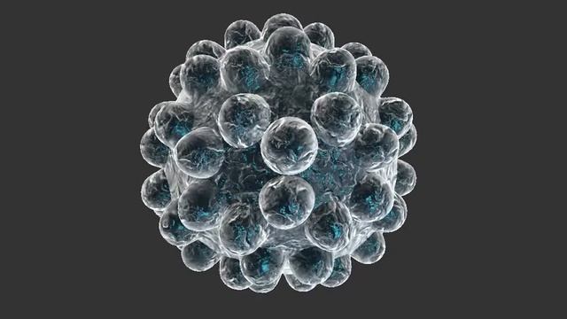 Morph-Target Backed in the Vertex Color смотреть онлайн