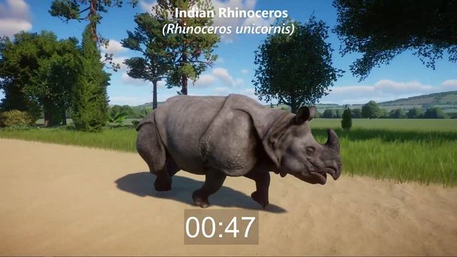 Rhinoceros Species Races in Planet Zoo included Black Rhino, White Rhino and Indian Rhinoceros смотреть онлайн