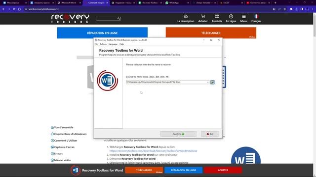Recovery Toolbox for Word - Comment cela fonctionne-t-il смотреть онлайн