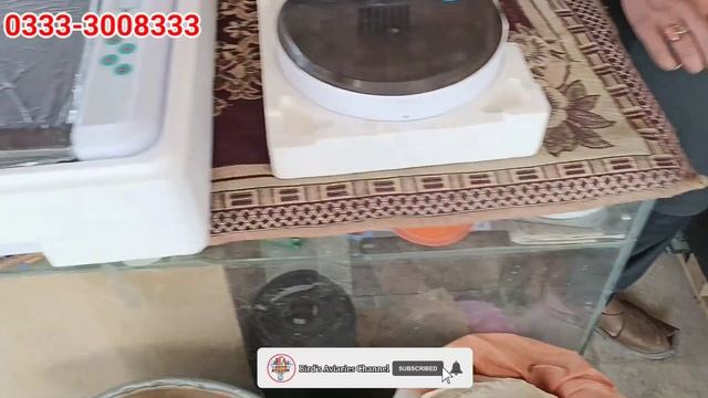 How To Use Egg Incubator || Kon Sa Incubator Lana Chaia ? Chaines Incubator Collection
