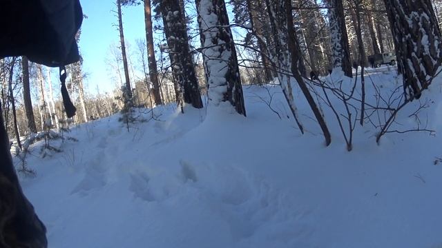 Работа ВСЛ Соболь ,ВСЛ Дым по медведю. смотреть онлайн