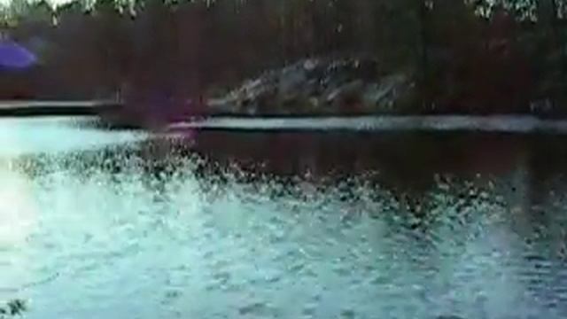 hudson valley forest music смотреть онлайн