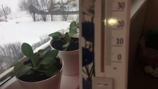 Сурфиния ч.2 19.02.18