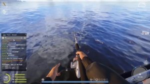 Прокачка КИТАЙСКОГО аккаунта - 1 ЧАСТЬ... ● Русская Рыбалка 4 | РР4