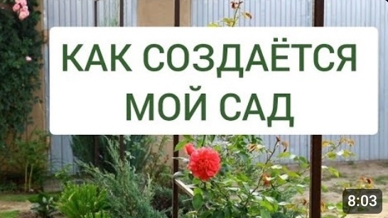 ПРОДОЛЖАЮ СОЗДАВАТЬ СВОЙ САД. 12.09.2024г. смотреть онлайн