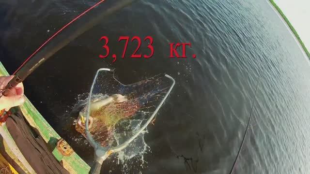 Троллинг на Селигере,я подумал сеть-но пошли рывки.