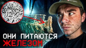 Что нашли на пропавшем корабле | кого боится нарвал? | Что значит красная вода? | разМИШления