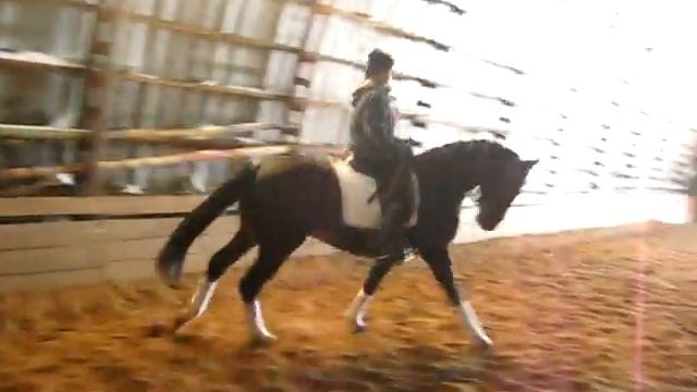 MVI_0019.avi\SOLD смотреть онлайн