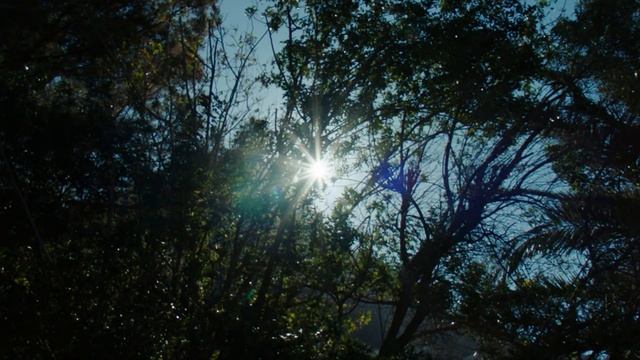 JUNE 2024 ENERGY UPDATE (Summer Solstice and Inner Light) смотреть онлайн