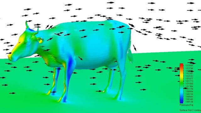 Air Flow Over a Cow's Face смотреть онлайн