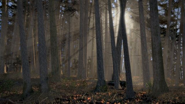 Forest Scene Blender 2.6 Nature Cycles Volumetric Lighting смотреть онлайн