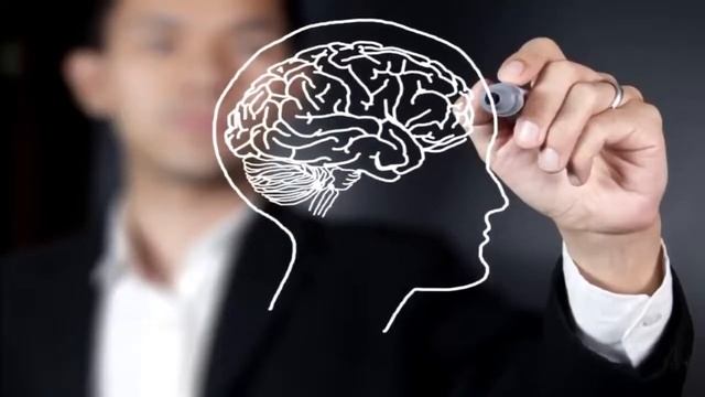 Человеческий мозг. 10 невероятных факторов о человеческом мозге.