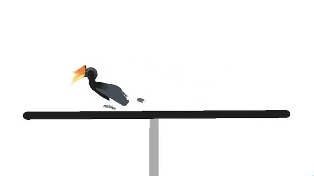 Rhinoceros Hornbill смотреть онлайн