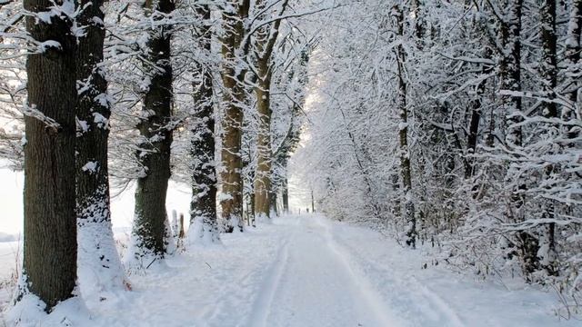 У леса на опушке смотреть онлайн