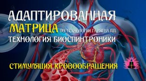 Стимуляция кровообращения 🎶 программа матрица по технологии Гаряева П.П ☀️ SoftRadio.ru
