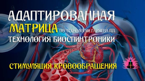 Стимуляция кровообращения 🎶 программа матрица по технологии Гаряева П.П ☀️ SoftRadio.ru