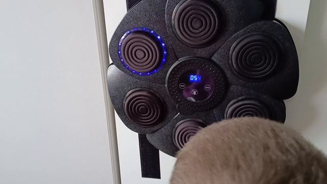 видеообзор подарка на 23 февраля моим мужчинам ❤️