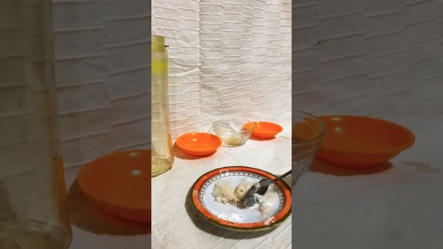 3 INGREDIENTS STAIN REMOVER FROM BLENDER/JUICER смотреть онлайн