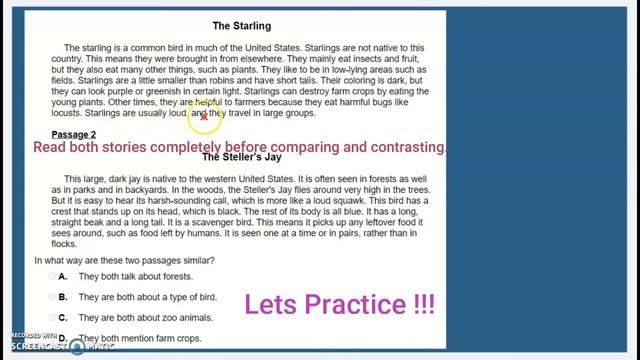 Compare and Contrast Stories смотреть онлайн