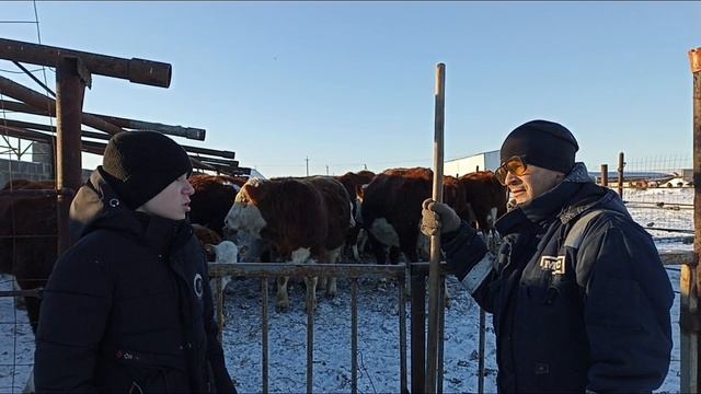 1 Бубнов К.М._Войковская СОШ Сорочинска смотреть онлайн