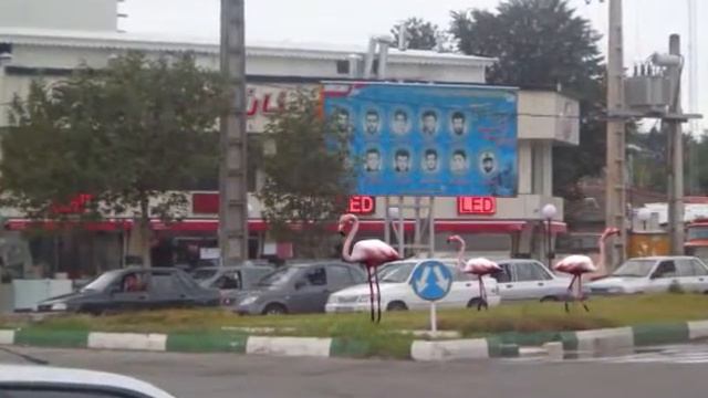 Camera Matching смотреть онлайн