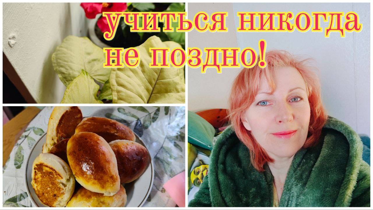 Как перестать лениться🥴 обучаться легко и быстро🤓 рассадный сезон открыт! смотреть онлайн