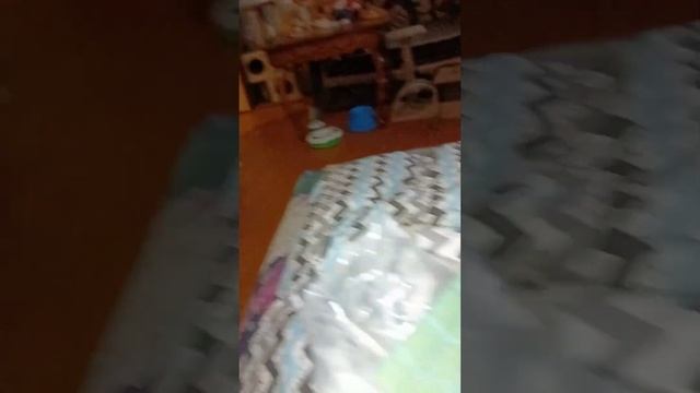 А у нас Подарочки!!! 🥁🎆🎈🎁🎉🎊❤😸😻🐱❤#love #cat #dogs
