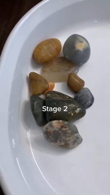 Gotta whip these rocks into shape 😤 #rocktumbler #rocktumbling #crystals #jasper #rocks #hobby смотреть онлайн