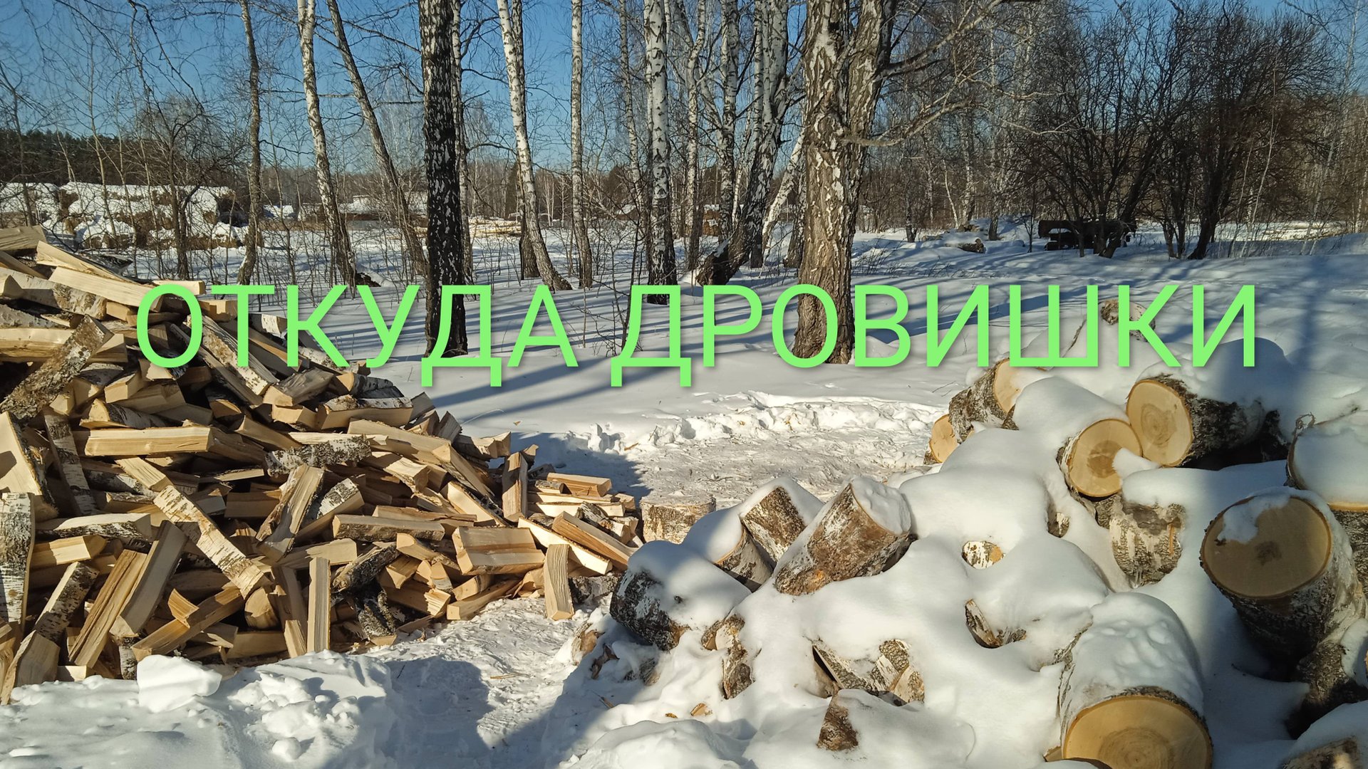Какие дрова выгоднее покупать смотреть онлайн