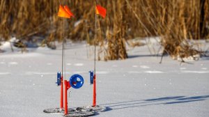 ОСТАВИЛИ ЖЕРЛИЦЫ НА НОЧЬ! УТРОМ ЩУКА УДИВИЛА! Рыбалка на щуку на жерлицы зимой 2025